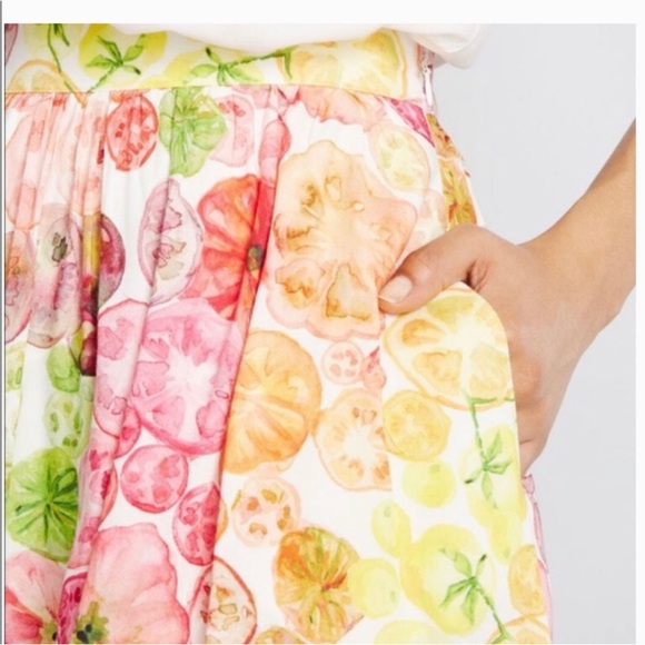 NWT MODCLOTH Heirloom Tomato Print Pocket Skirt - Picture 2 of 10